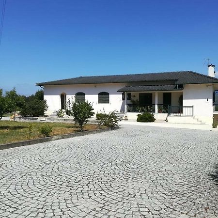 Casa Dos Lacos Viseu Eksteriør bilde