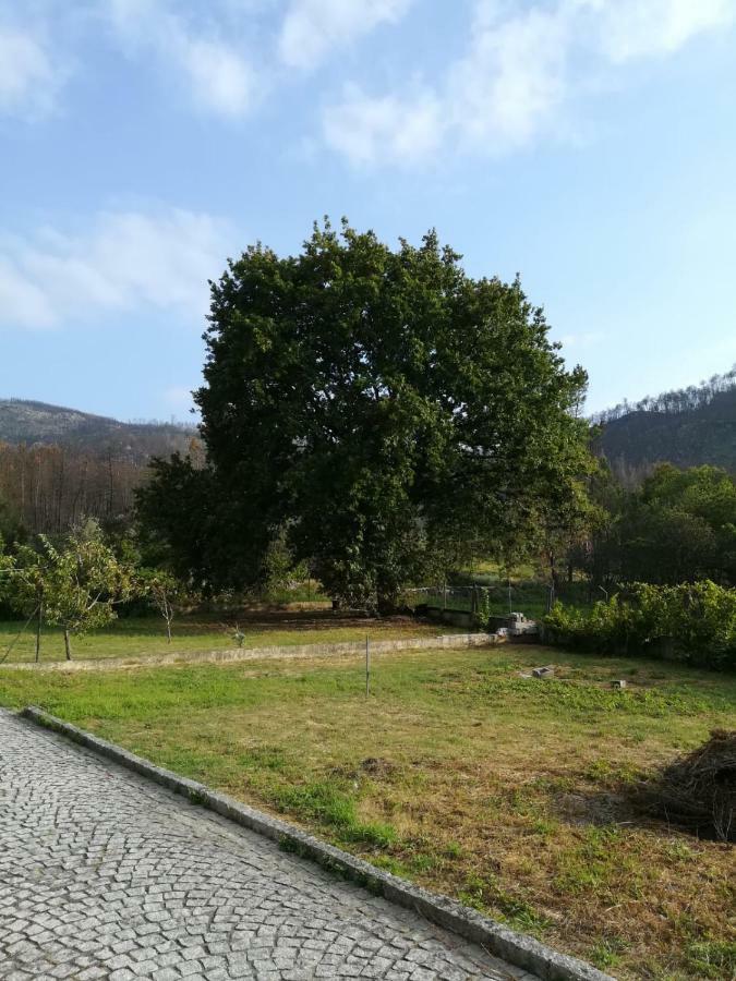 Casa Dos Lacos Viseu Eksteriør bilde